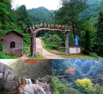 安徽古井园自然保护区跻身国家级 地处安庆岳西