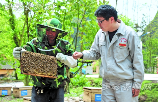 陈昌海与村民交流养蜂技术