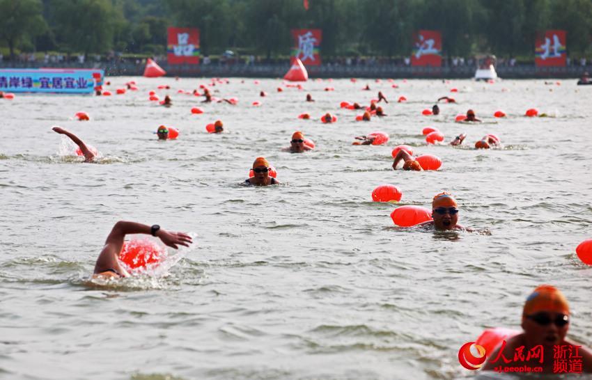 8月6日，宁波市500余名游泳健儿在姚江畅游。 章勇涛 摄