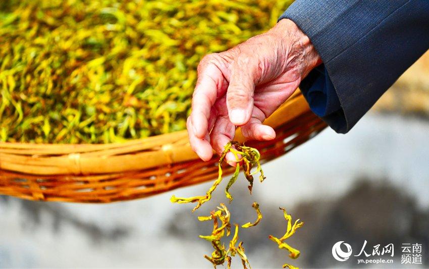 昌宁县获评云南省高原特色现代农业茶产业“十强县”