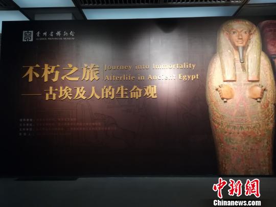 大型古埃及文物展走进中国首站贵阳