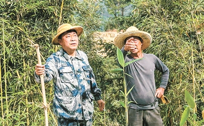 林上斗(左)参加百香果园义务劳动