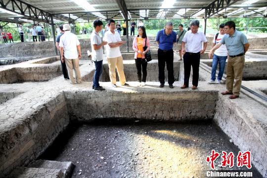 高邮龙虬庄遗址核心区发现了崧泽文化时期的疑似广场遗存。　崔佳明 摄