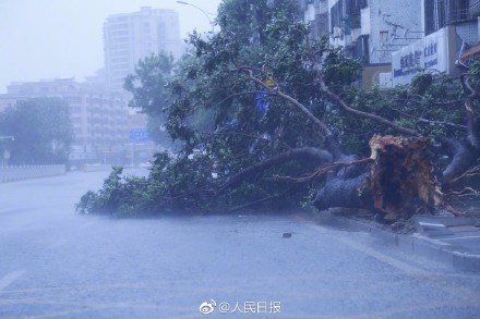 痛心！袭震台风“山竹”已致广东2人死亡