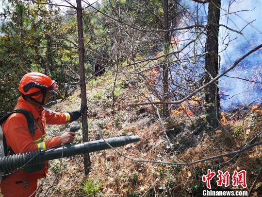 图为森林消防员清理火场烟点。丽江市森林消防支队供图
