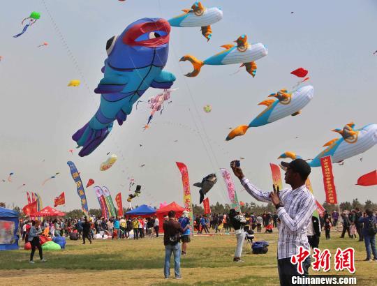 各国代表队带来具有民族特色的风筝进行参赛和展演。　赵晓 摄