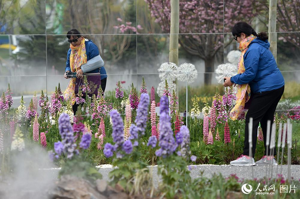 4月29日，游客在世园会内拍摄花艺。