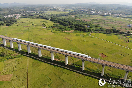 6月30日，动车从南广铁路梧州段飞驰而过。