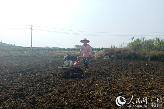 鹿寨县和木村韦德平：农民返乡把菜种 赚钱顾家两不误