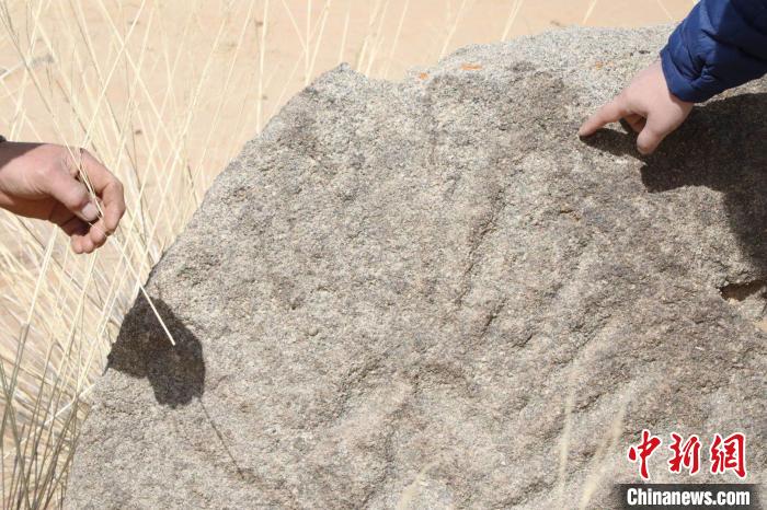内蒙古阿拉善再次发现11幅岩画