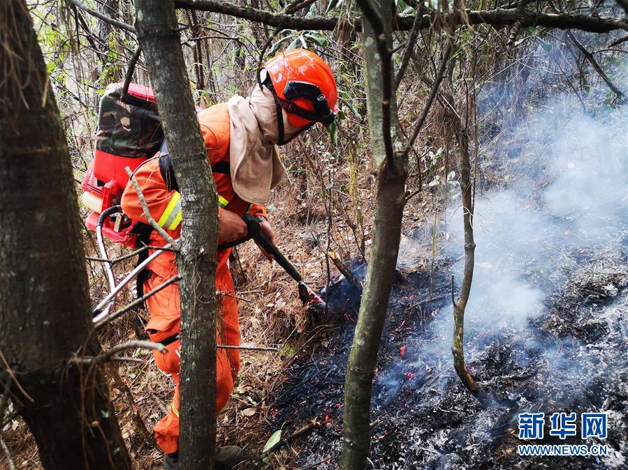 （图文互动）（1）云南玉龙森林火灾明火扑灭 过火面积约40公顷