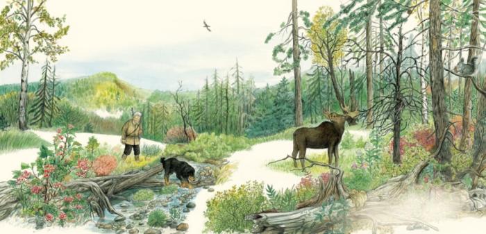 《鄂温克的驼鹿》内页图画，由女画家九儿执笔。接力出版社供图