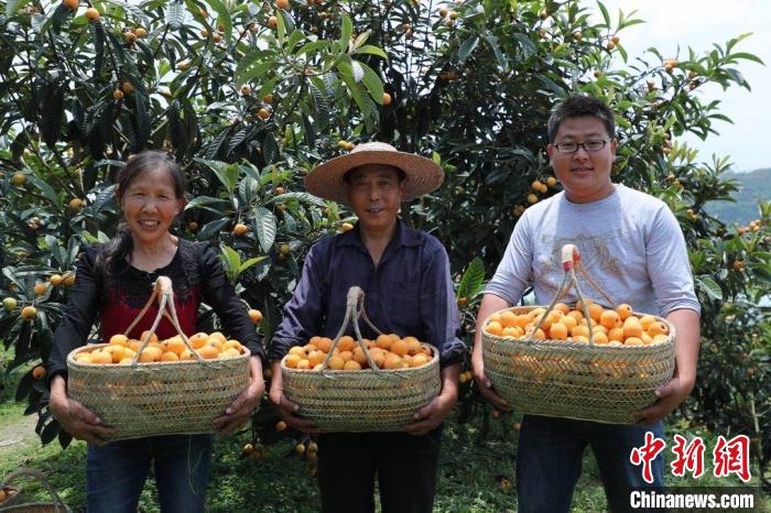重庆大学生回乡当“农创客”带动30余人就业
