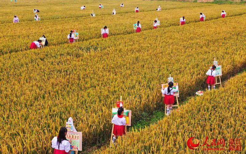 10月25日，在浙江省湖州市德清县第四届敬农节上，三桥小学的孩子们在金色稻田里“画丰收”。谢尚国 摄