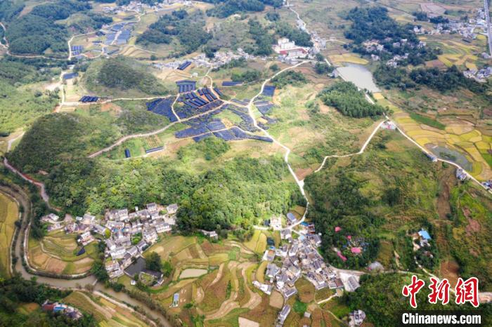 贵州安龙：食用菌“裂变式”发展成为乡村振兴有力支撑