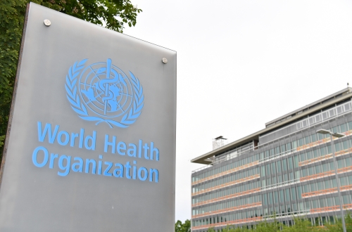 世卫组织呼吁加强H5N1禽流感病毒全球监测
