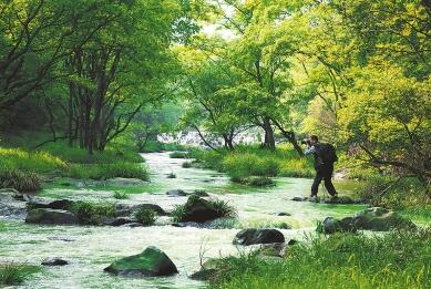 　5月12日，游人在新县香山湖国家湿地公园内拍摄美景。香山湖国家湿地公园湿地面积321.9公顷，域内物种多样，有国家一、二级重点保护植物20多种，科学与保护价值重大。