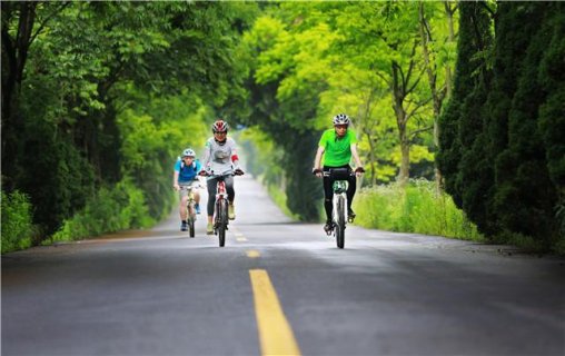 2016环浙自行车赛在安吉县开赛：畅游美景 享绿生活