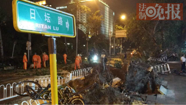 北京日坛路杨树倾倒砸坏车
