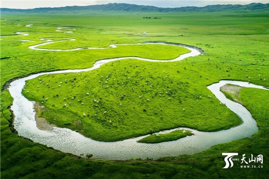 鸟瞰六月的新疆塔城塔尔巴哈台山草原湿地壮观景色