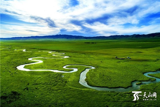 鸟瞰六月的新疆塔城塔尔巴哈台山草原湿地壮观景色