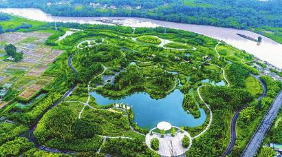 眉山青神县南城镇中国首家竹林湿地公园绿意盎然