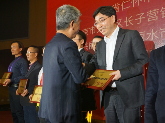 图：丽水市委常委、常务副市长林亮作为代表领奖