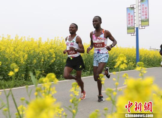 江西瑞昌国际乡村马拉松在武蛟乡万亩油菜花海中开跑