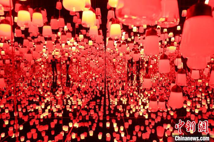上海馆《呼应灯森林》是无界美术馆史上最大规模的同类作品。　张亨伟 摄
