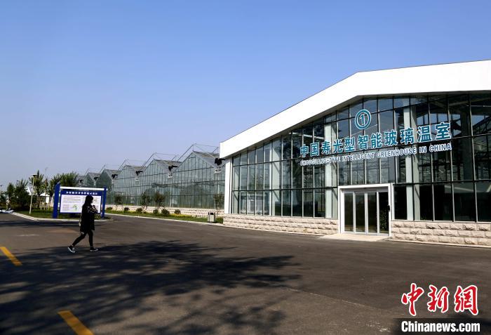 探访“中国寿光型”智能玻璃温室降低耗能超50%