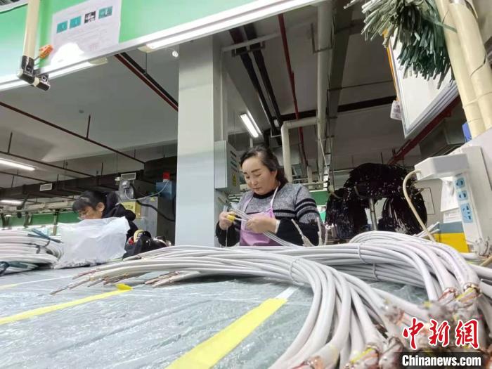 图为来自甘肃省定西市岷县的务工人员王红霞在生产线工作。(资料图) 张婧 摄