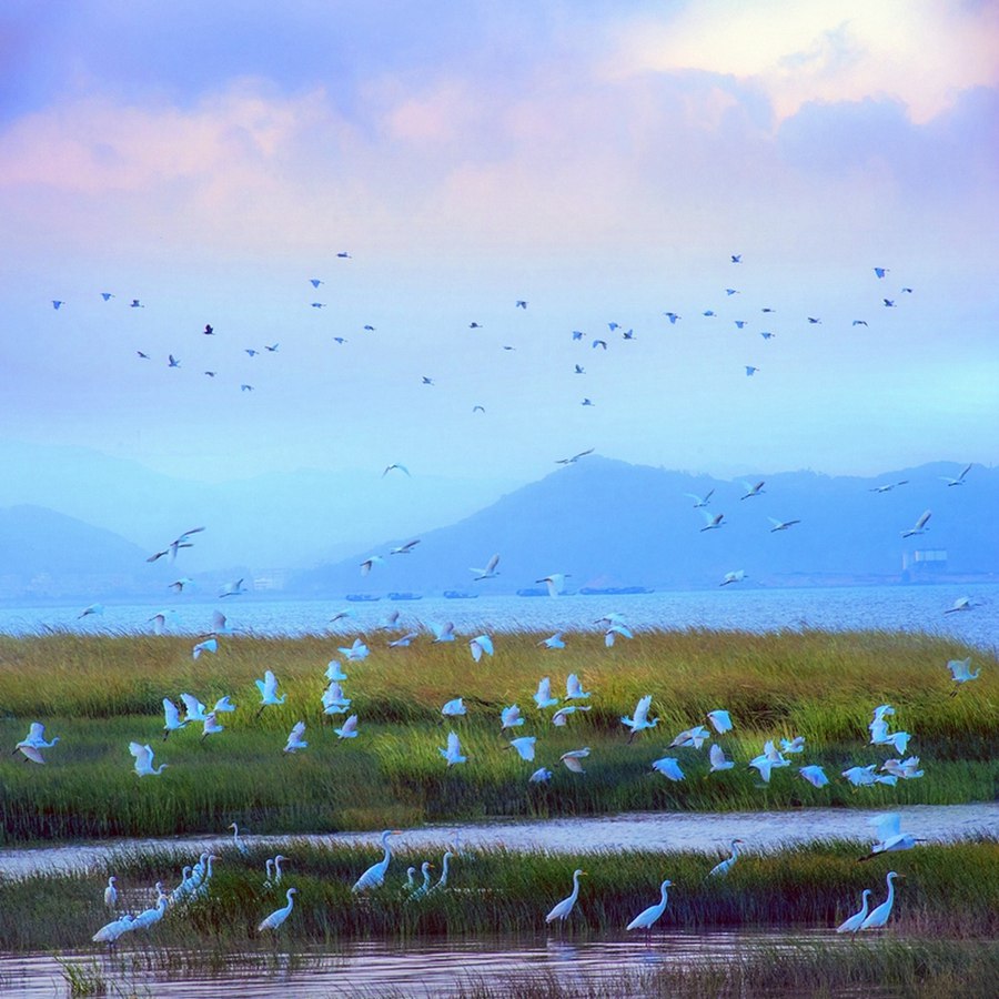 中国十大湿地公园图片