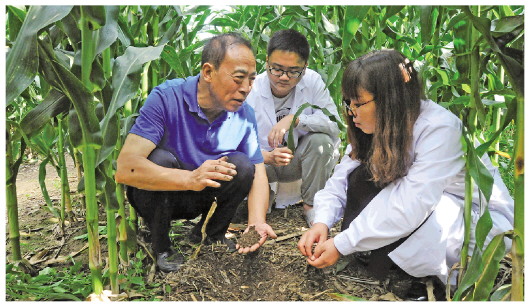 在吉林省梨树县 这位农技站长用十几年给黑土地“盖被子”