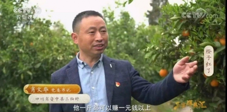 资中县三柏村党委书记肖文华：直播“带货”为血橙打开销路