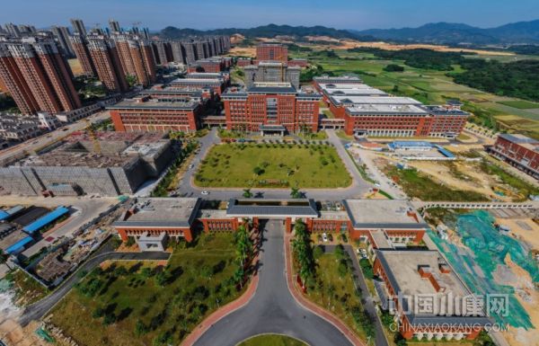 广州增城：全域全链发展新质生产力 推进高水平科技自立自强