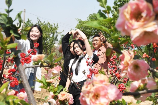游客在宇红苗木基地拍照打卡。鲁丽华摄